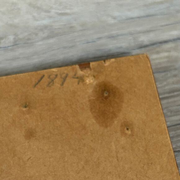 Vintage Framed Illustration Print Professional Guilty or Not Guilty Court Cat - Picture 5 of 8